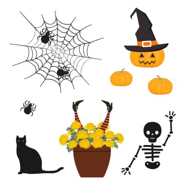 Halloween süslemeleri. Cadılar Bayramı simgeler kümesi. Bir örümcek ağı, bir pot ile krizantem ve dekoratif cadının ayaklar, bir kabak cadı şapkası, iskelet ve resimdeki siyah kedi vardır. Vektör