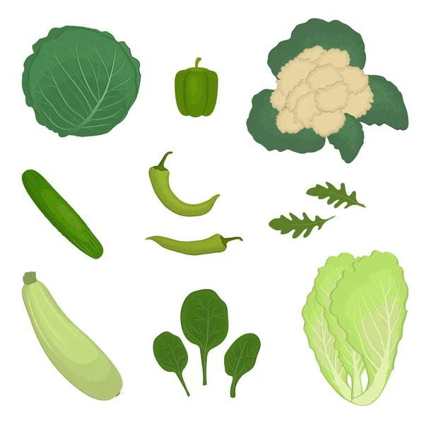 Набір Зелених Овочів Ізольовані Білому Тлі Зображенні Кабачки Огірок Перець — стоковий вектор