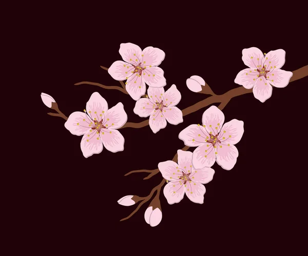 Branche Florissante Une Cerise Une Branche Arbre Avec Des Fleurs — Image vectorielle