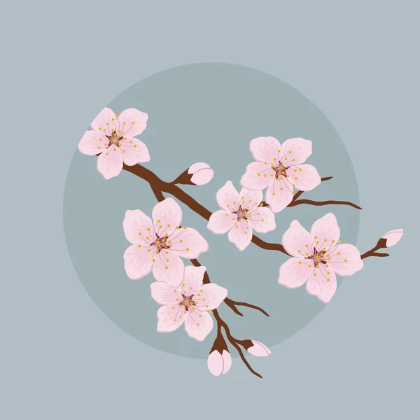 Branche Florissante Une Cerise Une Branche Arbre Avec Des Fleurs — Image vectorielle