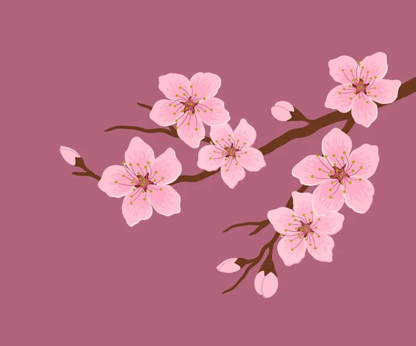 Branche Florissante Une Cerise Une Branche Arbre Avec Des Fleurs — Image vectorielle