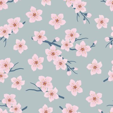 Kiraz çiçek dalları ile Seamless modeli. Bir ağaç dalı pembe çiçekler ve tomurcukları üzerinde mavi bir arka plan ile. Bahar çiçek arka plan. Vektör çizim