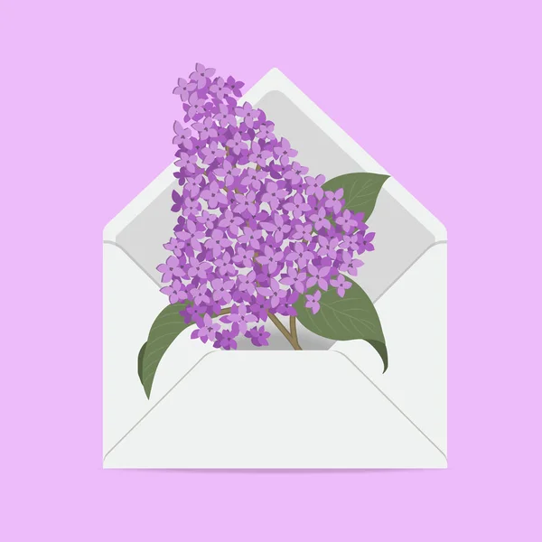 Fliederzweig Briefumschlag Frühling Lila Blüten Blumenlieferkonzept Vektor Illustration Auf Rosa — Stockvektor