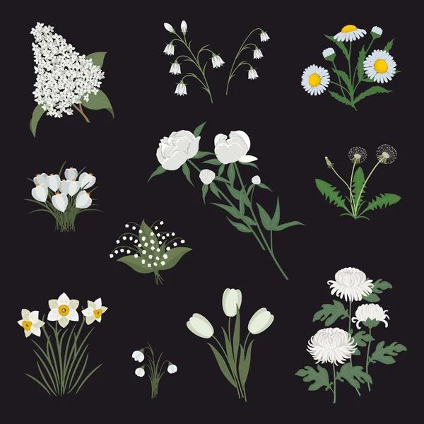 Colección Flores Blancas Sobre Fondo Negro Hay Narcisos Peonías Tulipanes — Vector de stock