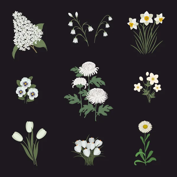 Collection of white flowers on a black background. There are tulips, lilac, aster, pansies, daffodils, chrysanthemums, bells, anemone and crocuses in the image. Vector illustration