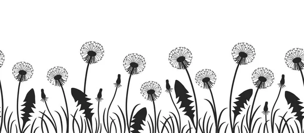 Dandelions beyaz bir arka plan üzerinde siyah siluetleri ile sorunsuz sınır. Vektör çizim