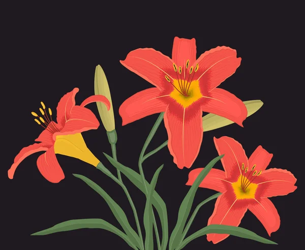 Lilien Mit Knospen Und Grünen Blättern Auf Schwarzem Hintergrund Orangefarbene — Stockvektor