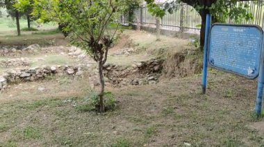 Taxila 'daki Antik Bhir Tepesi Harabeleri Achaemenid' i Mauryan Dönemi Şehir Kazısından Sonra Ortaya Çıkartıyor