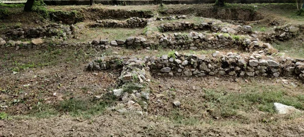 Bhir Tepesi Keşifleri, Eski Taksicinin Budist Mirasını Gösteriyor