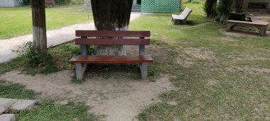 Kamu Park Boş Ahşap Benç Ağaçların Altında Gündüz Doğal Yeşillik Huzurlu Açık Hava Rahatlama Sahnesi