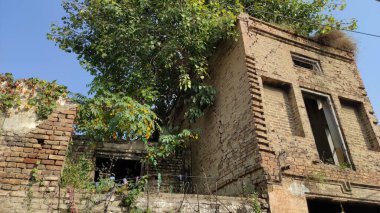 Antik Lakhi Chobara Sikh miras alanı Nara Matore 'da Rawalpindi Pakistan yakınlarında tarihi mimari ve mirası gösteriyor