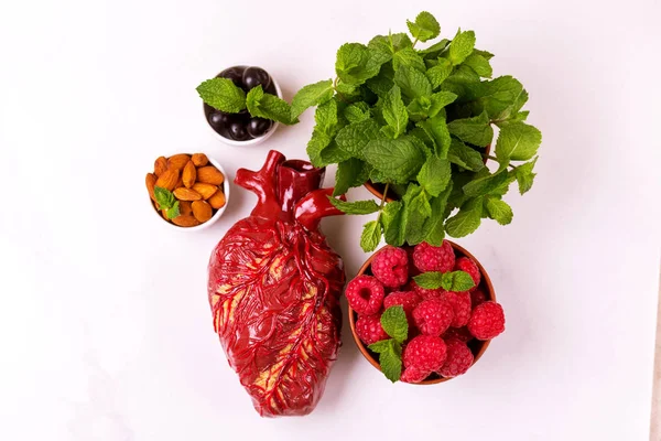 Sağlıklı gıda ve kalp modeli. Fındık ve çilek. Tıbbi soyut kavram