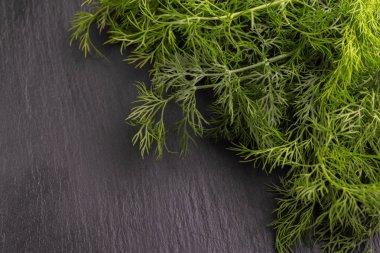 Gri kayrak zemin üzerine Yeşil taze organik dereotu demet. Boşaltmak