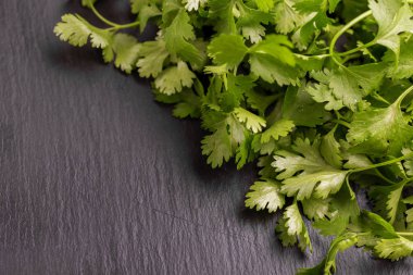 Gri kayrak zemin üzerine Yeşil taze organik Salantro demet. Boşaltmak