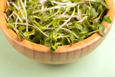 Açık yeşil arka planı üzerinde ahşap kase germinated turp lahanası. Sebze Salatalar, Çorbalar, tabak ve sandviç süsleme için yeşil. Kopya alanı