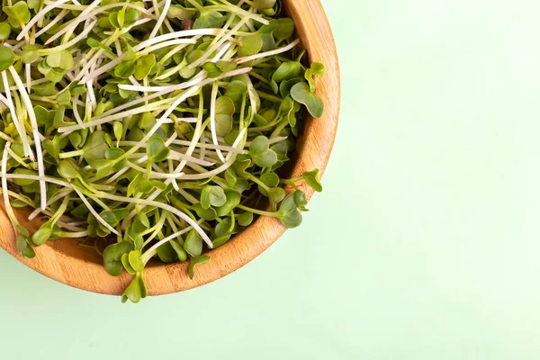 Açık yeşil arka planı üzerinde ahşap kase germinated turp lahanası. Sebze Salatalar, Çorbalar, tabak ve sandviç süsleme için yeşil. Kopya alanı