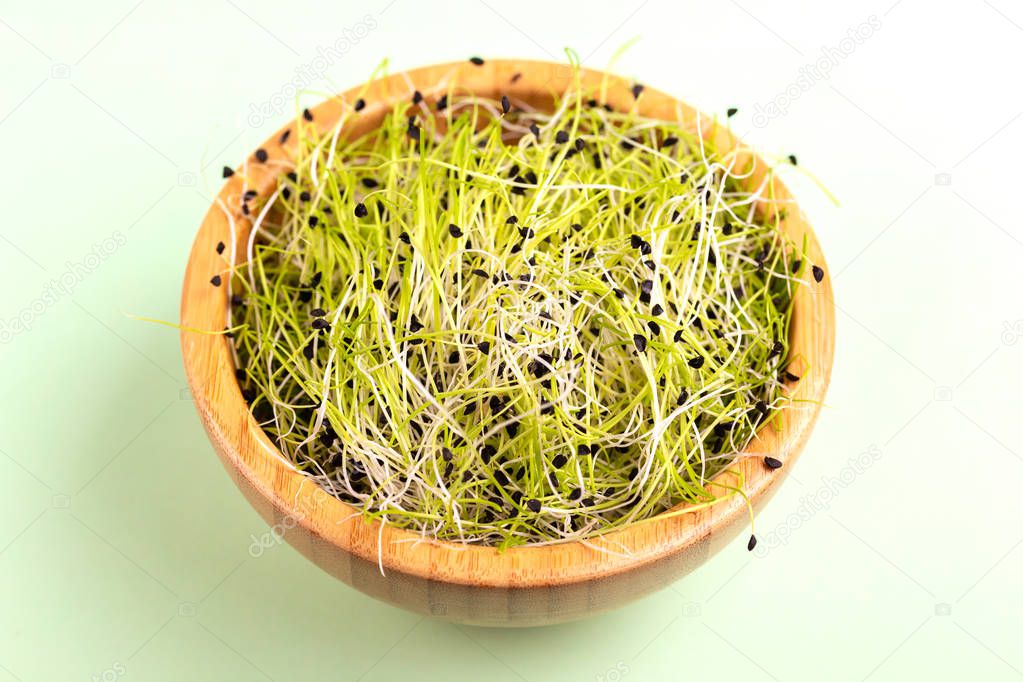 Fresh microgreen leek in wooden bowl on light green background. Vegetable green for garnishing salads, soups, plates, and sandwiches. Copy space