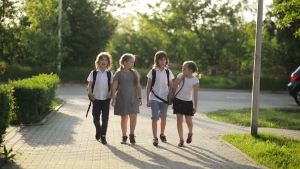 Groupe d'étudiants sont en train de parler entre eux. Ils sourient et s'amusent . — Video