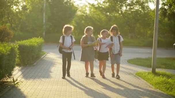 Groupe d'étudiants sont en train de parler entre eux. Ils sourient et s'amusent . — Video