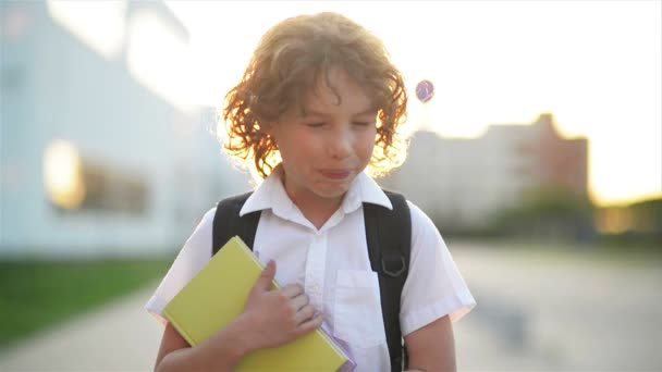 Glad söt Smart pojke med skolväska och boken i handen. Modern ryggsäck. Barnet är redo att svara. Första gången till skolan. Tillbaka till skolan. — Stockvideo