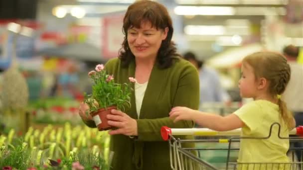 Barnbarn hjälper mormor att välja blommor. De blommor lukterna mycket bra. — Stockvideo