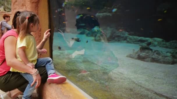 Madre feliz con su hija están buscando en el acuario con los peces. Se divierten mucho este día de las madres . — Vídeos de Stock