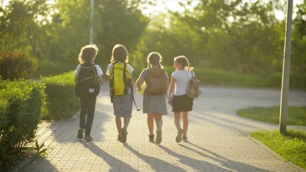 Eine Gruppe von Schülern mit Schulrucksäcken geht zurück in die Schule. Sie haben eine Menge Spaß. — Stockvideo