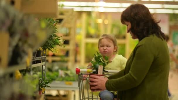 Pequeña dulce chica se sienta en un carro y ayuda a la abuela a hacer compras en un supermercado . — Vídeos de Stock