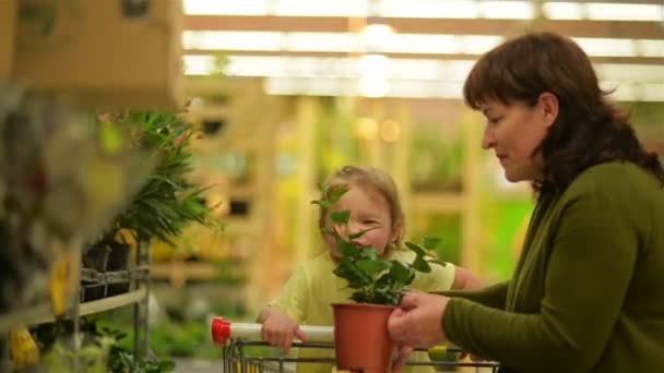 Farmor rådgjort med barnbarn. De väljer blommor för trädgården tillsammans. — Stockvideo