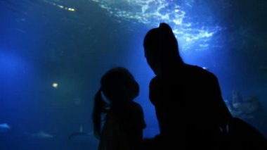 Annesi tatlı çocukla anneler gününde Oceanarium ziyaret. Anne kız bu güzel ve ilginç dünya gösterir. HD, Aile, anneler günü, yaşam biçimi.