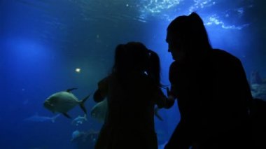 Annesi tatlı çocukla anneler gününde Oceanarium ziyaret. Anne kız bu güzel ve ilginç dünya gösterir. HD, Aile, anneler günü, yaşam biçimi.