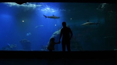 Annesi tatlı çocukla anneler gününde Oceanarium ziyaret. Anne kız bu güzel ve ilginç dünya gösterir. HD, Aile, anneler günü, yaşam biçimi.