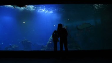 Annesi tatlı çocukla anneler gününde Oceanarium ziyaret. Anne kız bu güzel ve ilginç dünya gösterir. HD, Aile, anneler günü, yaşam biçimi.