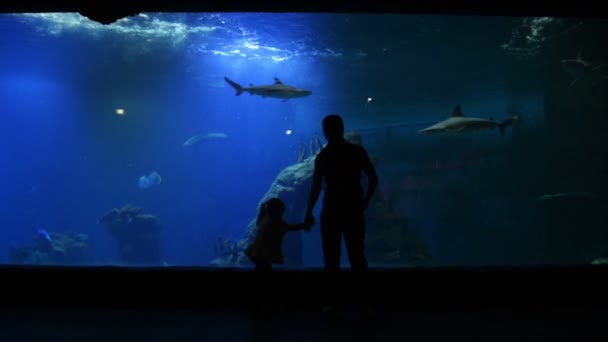 Mother Cutie Kid Visiting Oceanarium Mothers Day Mother Shows Girl — Stock Video