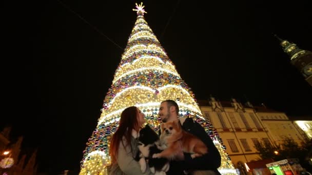 Para zakochanych, trzyma psy Cutie i pocałunki. Choinka jest na tle. Koncepcja szczęśliwego nowego roku. — Wideo stockowe