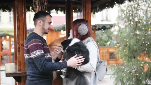 Pareja feliz se divierte al aire libre. Navidad y Feliz Año Nuevo Concepto. Los amantes están sosteniendo Cutie perros . — Vídeos de Stock