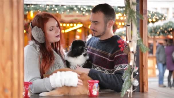 Fiatal pár szórakozik szabadban karácsonykor. Forralt bort iszik és gazdaság Cutie kutyák. Karácsony. — Stock videók