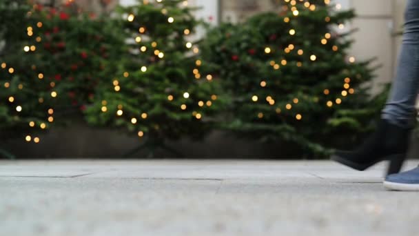 Un par de amantes están paseando con sus lindos perros. Árboles de Navidad con decoración están en el fondo . — Vídeos de Stock