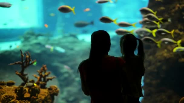 Silhouette Of Family. Figlia con madre entusiasta di guardare il delfino nuotare sott'acqua in acquario . — Video Stock