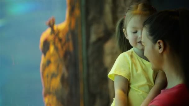 Mère heureuse avec sa fille regardent dans l'aquarium avec les poissons. Ils s'amusent beaucoup en cette fête des mères . — Video