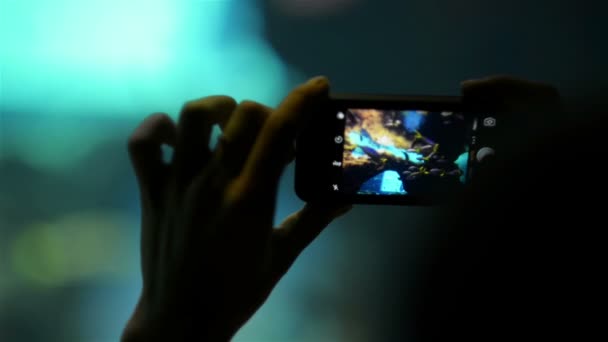 Mãos femininas Silhueta segura telefone tira fotos de peixes atrás tubo de vidro sob aquário de água. Conceito de Zoológico e Oceanário . — Vídeo de Stock