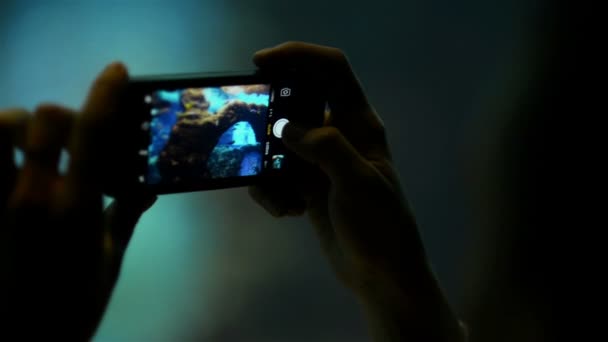 Sylwetka kobiecych rąk posiada telefon robi zdjęcia ryb za szklaną rurkę pod akwarium wody. Zoo i Oceanarium koncepcja. — Wideo stockowe
