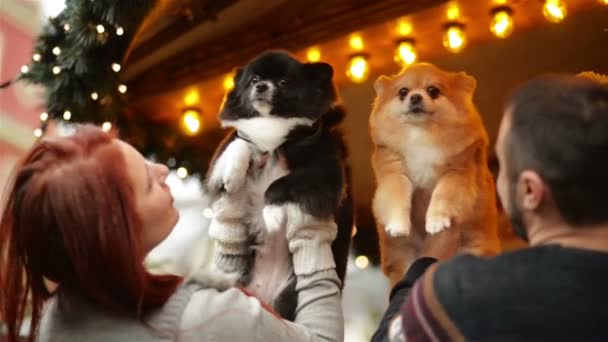 Par älskare krama med en Cutie hundar. Tillsammans har de gott humör. Klädd Ward, julbelysning bakom. — Stockvideo