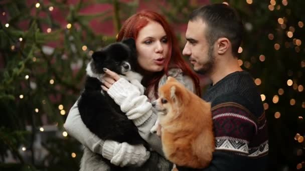 Fiatal pár szórakozik szabadban karácsonykor. Náluk van a Cutie kutyák. Boldog új évet koncepció. — Stock videók