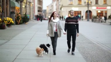 Mutlu çift tutuşup ve birlikte yürüme. Onlarla tatlı köpek. HD, açık havada, neşeli Noel zamanı.