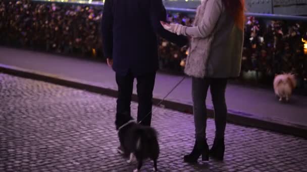 Happy Couple Walk with Their Cutie Dogs (en inglés). Se divierten mucho juntos. Luces de Navidad . — Vídeos de Stock