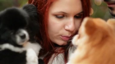 Genç kadınlar beyaz görünümlü köpekler birkaç ile eğleniyor. Işıklar ve Noel ağacı olan arka plan üzerinde.