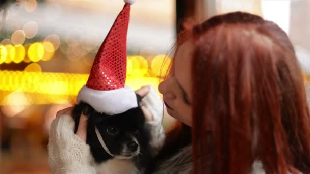 여자 귀여운 강아지에 산타 모자를 착용. 메리 크리스마스 개념입니다. 좋은 분위기. 크리스마스 시장. — 비디오