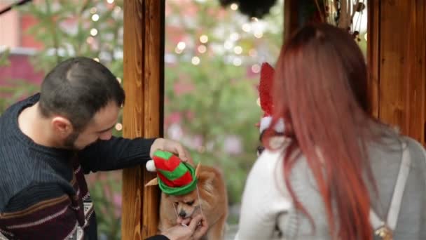 Retrato de pareja feliz juntos. Se divierten mucho usando sombreros de Papá Noel en los perros lindos. Humor de Navidad . — Vídeos de Stock