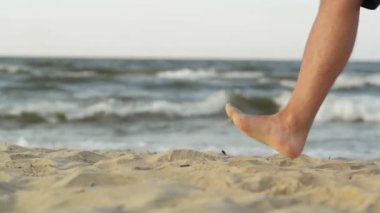 Plaj boyunca yürüyen köpek ile bir kaç. Deniz arka plan üzerinde olduğunu.